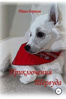 Приключения Шервуда - Павел Борисов