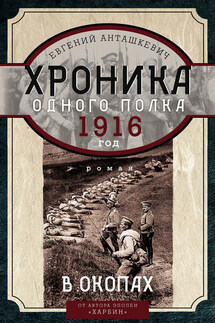 Хроника одного полка. 1916 год. В окопах - Евгений Анташкевич