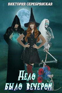 Дело было вечером - Виктория Серебрянская