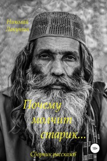 Почему молчит старик. Сборник рассказов - Николай Лакутин
