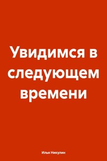 Увидимся в следующем времени - Илья Никулин