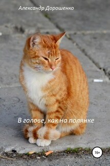 В голове, как на полянке - Александр Дорошенко