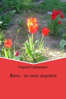Жить – не поле перейти. Сборник - Сергей Серванкос