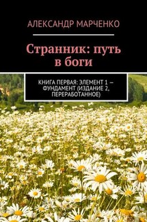 Странник: путь в боги. Книга первая: элемент 1 – фундамент (издание 2, переработанное) - Александр Марченко