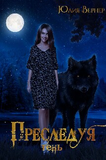Преследуя тень - Юлия Вернер