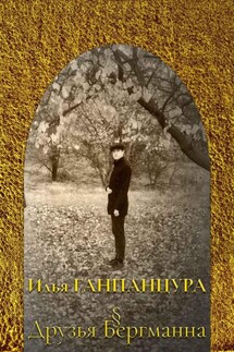 Друзья Бергманна - Илья Ганпанцура