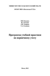 Программа учебной практики по первичному учету - Ольга Викторовна Лаврина, Игорь Александрович Бондин