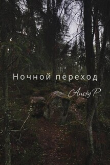 Ночной переход - Ansty P., Анастасия Петровская