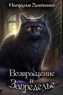 Возвращение в Запределье - Н. Данченко