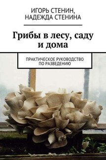 Грибы в лесу, саду и дома - Игорь Стенин, Надежда Стенина