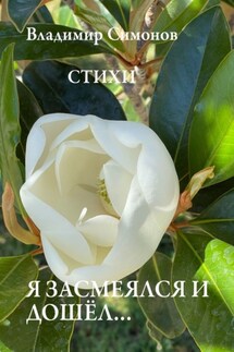 Я засмеялся и дошёл… Стихи - Владимир Симонов