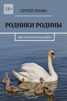 Родники Родины. Мир, в котором мы живём - Сергей Лунин