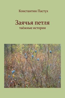 Заячья петля - Константин Пастух