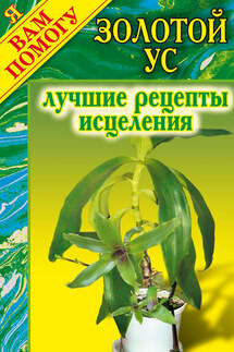 Золотой ус: Лучшие рецепты исцеления - Дарья Нестерова