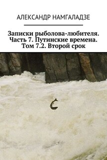 Записки рыболова-любителя. Часть 7. Путинские времена. Том 7.2. Второй срок - Александр Намгаладзе