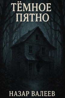 Тёмное пятно - Назар Валеев