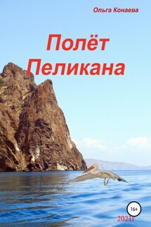 Полёт пеликана - Ольга Конаева