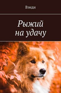 Рыжий на удачу
