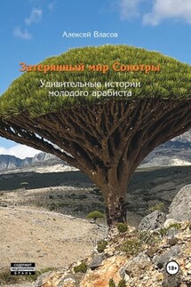 Затерянный мир Сокотры. Удивительные истории молодого арабиста - Алексей Власов