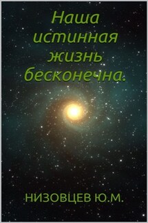 Наша истинная жизнь бесконечна - Юрий Низовцев