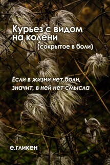 Курьез с видом на колени (сокрытое в боли) - Екатерина Гликен