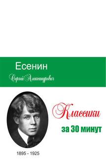 Есенин за 30 минут - Татьяна Беленькая, Илья Валерьевич Мельников