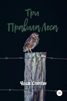 Три правила леса - Степан Чолак