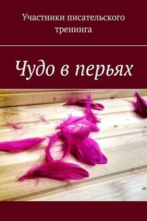 Чудо в перьях. Сборник серьезных и сказочных историй - Светлана Яковлева, Лена Данина