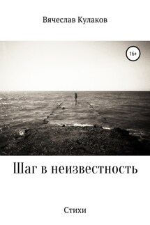 Шаг в неизвестность - Вячеслав Кулаков