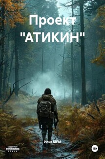 Проект «АТИКИН» - Илья MFM