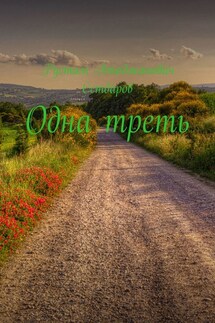 Одна треть - Рустам Сетдаров