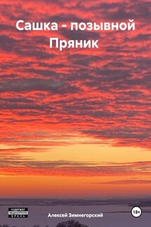 Сашка – позывной Пряник - Алексей Зимнегорский