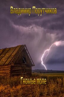 Гномье поле - Владимир Порутчиков