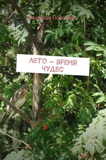 Лето – время чудес - Вячеслав Полежаев