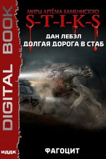 Миры Артёма Каменистого. S-T-I-K-S. Долгая дорога в стаб. Книга 2. Фагоцит - ИДДК