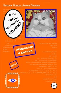 А ты готов опознавать котов? Нейросети и котики – детям - Алиса Попова, Максим Попов