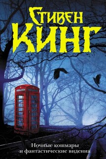 Ночные кошмары и фантастические видения (сборник) - Стивен Кинг