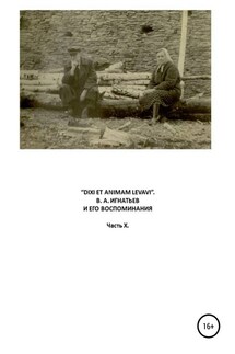 «Dixi et animam levavi». В.А. Игнатьев и его воспоминания. Часть X - Василий Алексеевич Игнатьев, Виталий Георгиевич Бояршинов