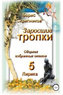 Заросшие тропки. Сборник избранных стихов 5. Лирика - Борис Скрипников