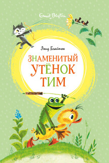 Знаменитый утёнок Тим - Энид Блайтон