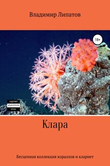 Клара - Владимир Липатов