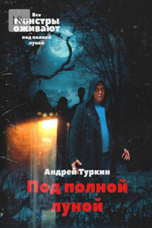 Под полной луной - Андрей Туркин
