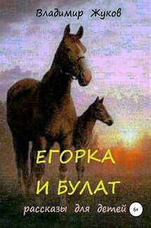 Егорка и Булат - Владимир Жуков