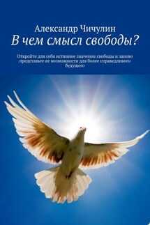 В чем смысл свободы? Откройте для себя истинное значение свободы и заново представьте ее возможности для более справедливого будущего - Александр Чичулин