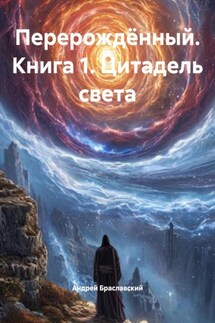 Перерождённый. Книга 1. Цитадель света - Андрей Браславский