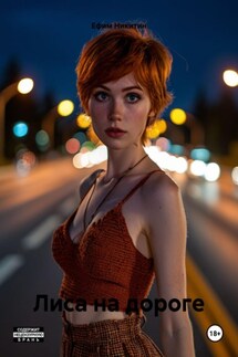 Лиса на дороге - Ефим Никитин