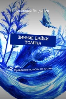 Зимние байки Толяна. Правдивые истории из жизни - Анатолий Ландышев