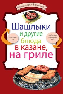 Шашлыки и другие блюда в казане, на гриле - Коллектив авторов