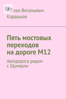 Пять мостовых переходов на дороге М12. Автодорога рядом с Шумерли - Руслан Кардашов