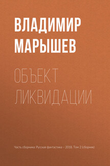 Объект ликвидации - Владимир Марышев